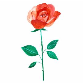 女の子と魔法の小箱